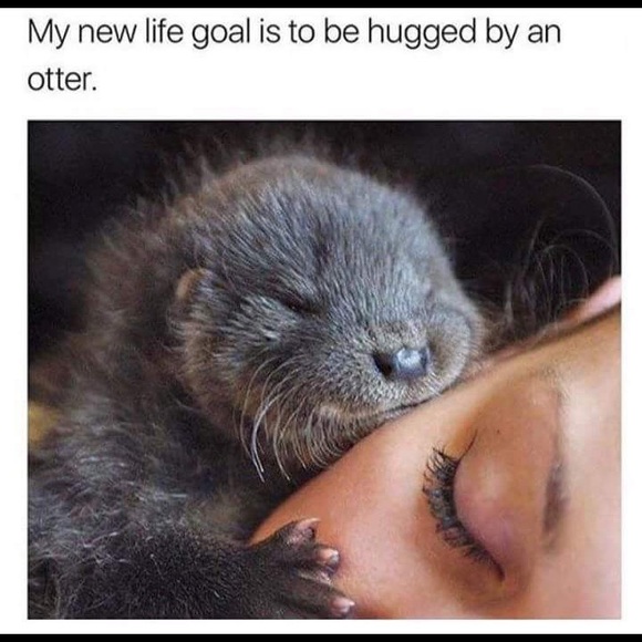 Meet your Posher, Gamble - Picture 1 of 1